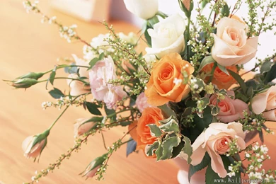 Beautiful Bouquet In House － Flower Wallpapers   Free Download ...