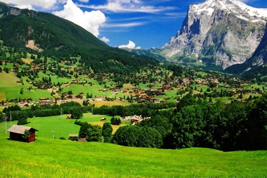 House M.d Wallpapers Free Download