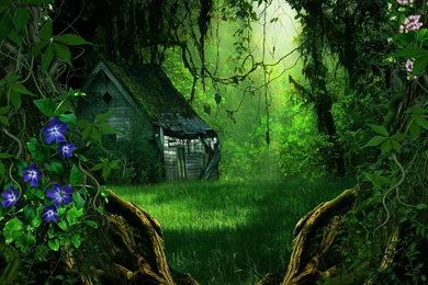 Forest House HD Wallpapers ~ Toptenpack.com