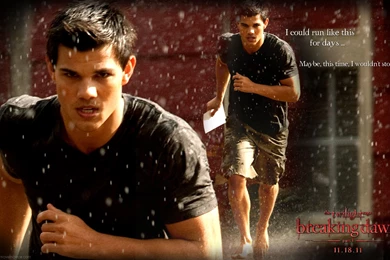 Free Download Twilight: Breaking Dawn Part I Wallpapers ...