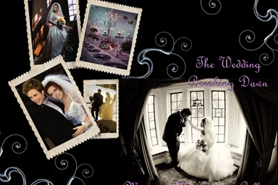 Romantic Quotes From Breaking Dawn. QuotesGram