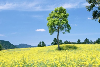 Images Of People And Nature － Landscape Wallpapers   Free ...