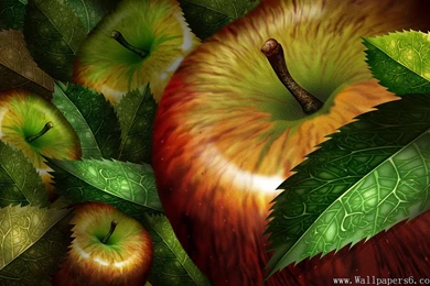 Apple － Design Wallpapers   Free Download Wallpapers,windows Xp ...