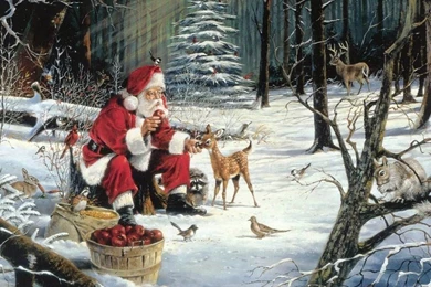 Animated Christmas Wallpapers   Christmas Day 25