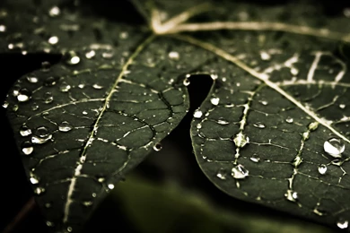 iPad Retina HD Wallpapers