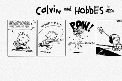 Calvin And Hobbes Susie Lacrosse (