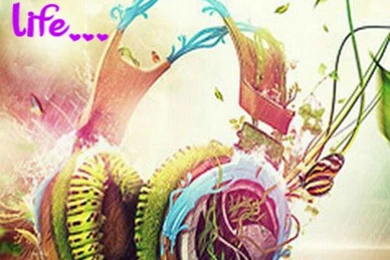 Music Is My Life Music Backgrounds For Your iPhone Download Free