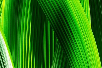 Download IOS 7 Wallpapers For IPhone, iPad And IPod Touchs ...