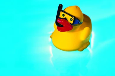 Cute Animals Wallpaper, A Little Rubber Duck In Swim, The Blue Sea ...