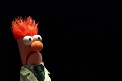 Download Beaker The Wallpapers 1920x1200