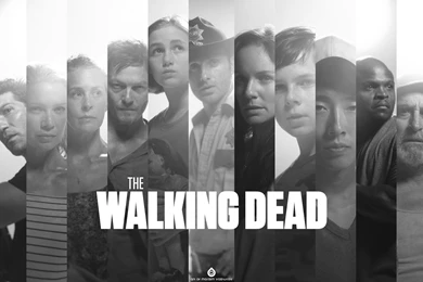 Movies TV Series Black And White The Walking Dead Wallpaper. Black ...