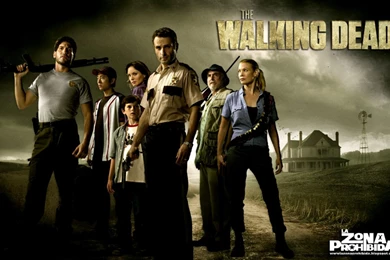 Walking Dead Wallpapers Hd Computer