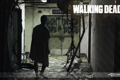 Walking Dead Wallpapers