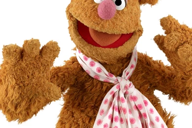 Fozzie Bear From The 2011 Muppets Movie Desktop Wallpapers