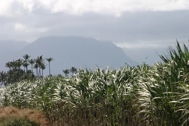 Green Screen Backgrounds For Your Video   Crystal Pyramid Productions
