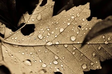 How To Change The Login Screen Backgrounds In Ubuntu Linux 10.04 ...