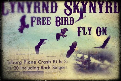 Lynyrd Skynyrd   Free Bird(s)   Fly On By ZZenoO On DeviantArt
