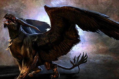 Download Free HQ Creatures Wallpapers Hqwallbase.pw