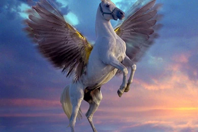 Creatures Mythical Pegasus White Wallpapers