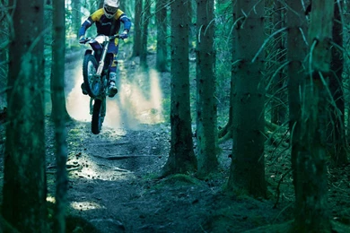 Category «Moto Wallpaper». Page 3