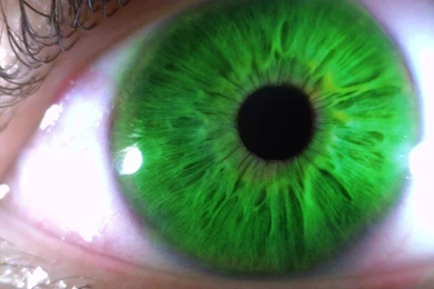 Green Eyes Wallpapers   Wallpapers Cave