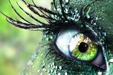 Download The Glistening Green Eyes Wallpaper, Glistening Green ...