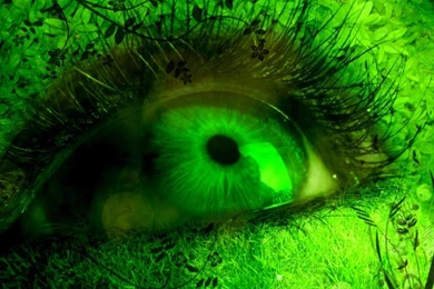 GREEN EYE WALLPAPER   (