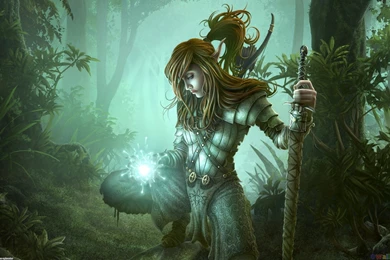 Elf Fantasy, Warrior, 1920x1200 HD Wallpapers And FREE Stock Photo