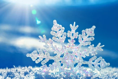 Snowflake In Sunlight Wallpapers For Android 1600x1280
