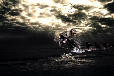 Warrior Computer Wallpapers, Desktop Backgrounds