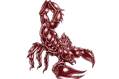 Big_bold_scorpion_tattoo.jpg