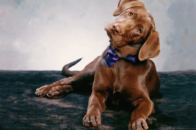 Awesome Best HD HD Wallpapers Free Download