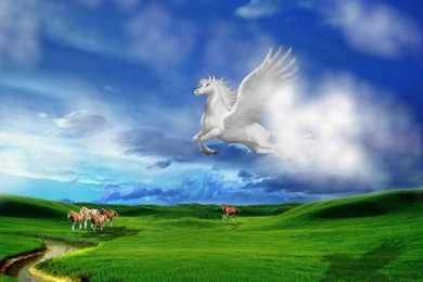 Best Wallpapers Download