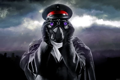 Romantically Apocalyptic Computer Wallpapers, Desktop Backgrounds ...