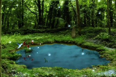 Free Pond Wallpapers
