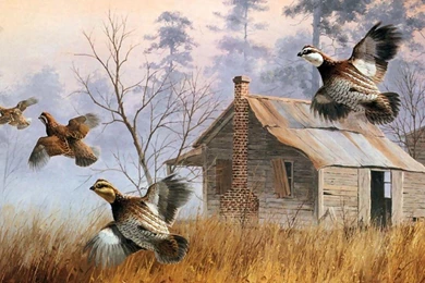 By Terry Redlin Wallpapers   (