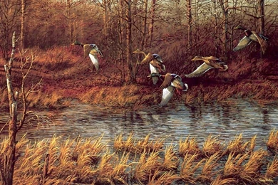 Wallpapers Pictorial Art Terry Avon Redlin Image