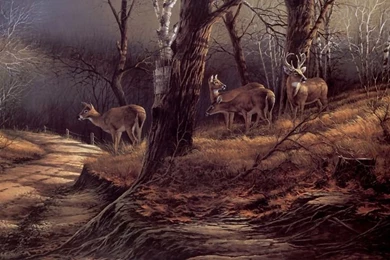 Art ~ Terry Redlin On Pinterest