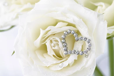 Valentine's Day Wallpapers