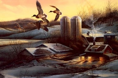 Evening Company   Farms Buildings And Landmarks Wallpapers Image