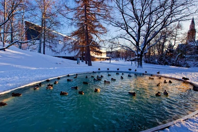 Winter Pond >> HD Wallpaper, Get It Now!