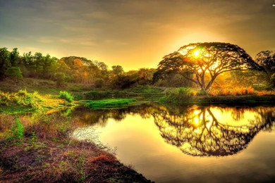 Jungle Pond, Tree, Sunset, Sky, Nature, 2880x1800 HD Wallpapers And ...