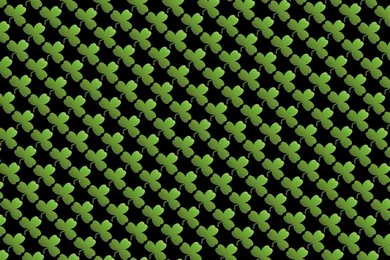 Irish   Free Images On Pixabay