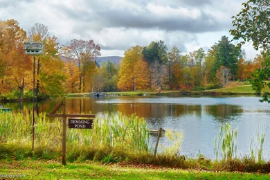 Pond, Wallpaper, Autumn (
