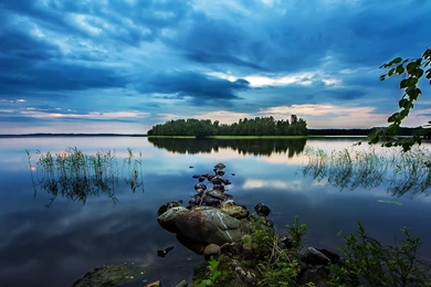 Pond, Lake, Early Morning Beauty, Stones, Woods, Water Plants ...