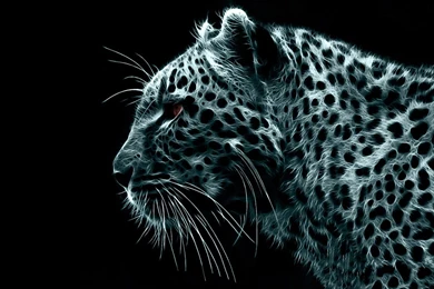 Hd Wallpapers For PC Collection (31+)