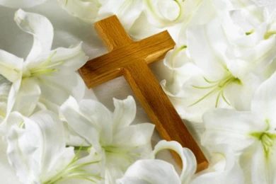 Wallpapers Religius Cross Flower Lily Nature Religious Free Hd ...