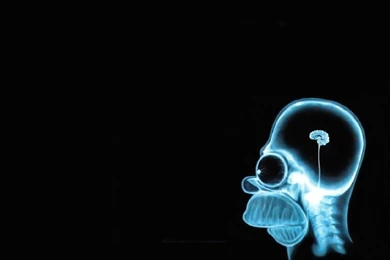 Wallpapers Strange Funny Weird Crazy Absurd Awesome 632   1920 X ...