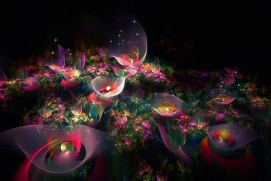Beautiful Fractal Flowers   Abstract Floral Fractal Art Wallpapers ...