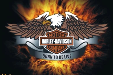 Harley Davidson Live Wallpapers